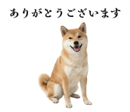 856734285