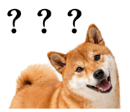 856734290