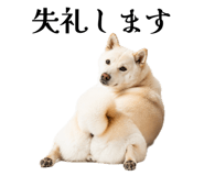 856734294