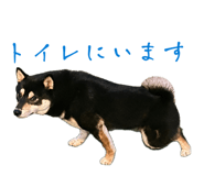 856742221