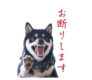 856742224