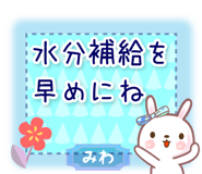 856742260