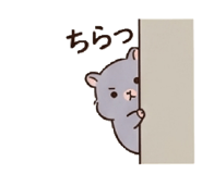 856743536