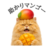 856743831
