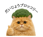 856743832