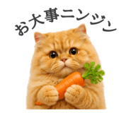 856743835