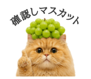 856743837