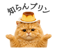 856743843