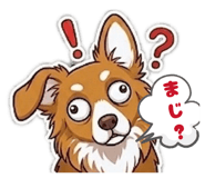 856743909
