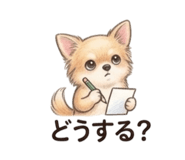 856744121