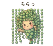 856744294