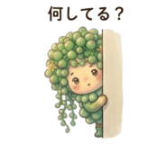 856744298
