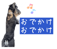 856744588