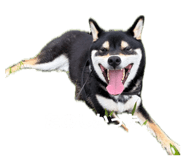 856744915