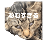 856744920