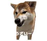 856744925