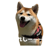 856744936