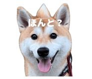856744937