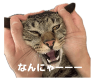 856744939