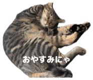 856744941