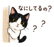 856745781