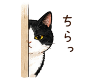 856745792