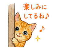 856745804