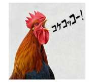856747914