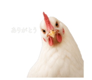856747920
