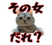 856747975