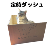 856747979