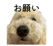 856749835