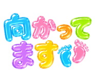 856750040