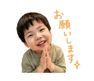 856750377