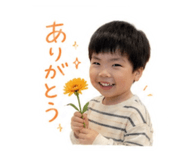 856750384