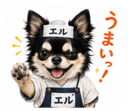 856750420