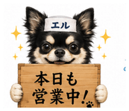 856750425