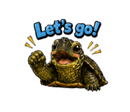 856750584