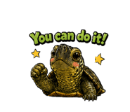 856750589