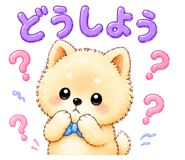 856751691