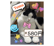 856751856