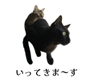 856751979