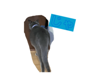 856752058