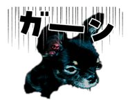 856752242