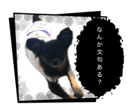 856752243