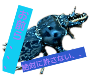 856752249
