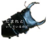 856752251