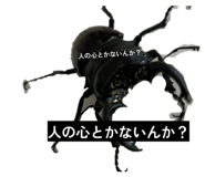 856752253