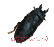 856752254