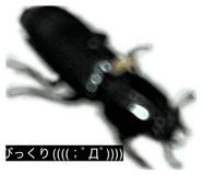 856752256
